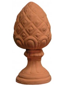 Piña pequeña