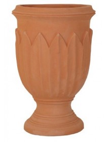 Maceta hojas